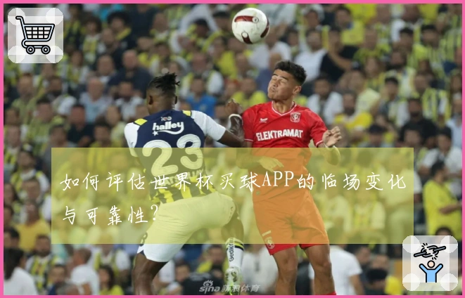 如何评估世界杯买球APP的临场变化与可靠性？