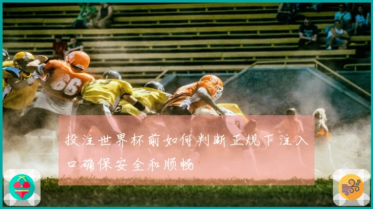投注世界杯前如何判断正规下注入口确保安全和顺畅