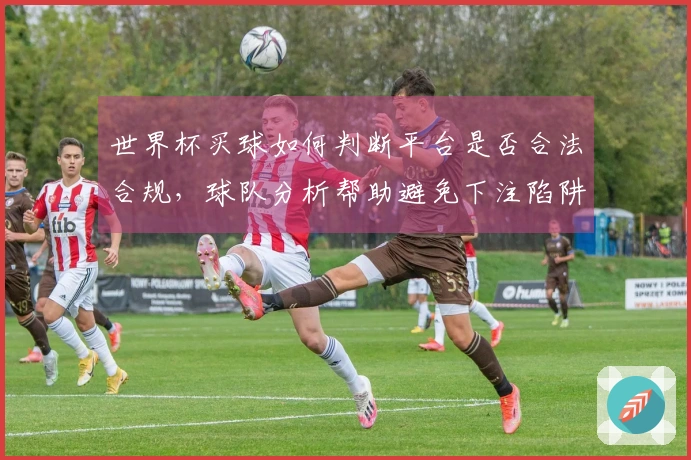 世界杯买球如何判断平台是否合法合规，球队分析帮助避免下注陷阱