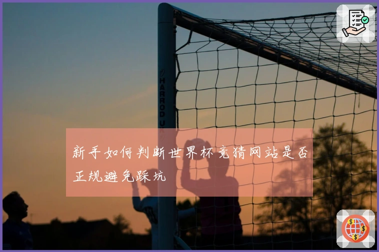 新手如何判断世界杯竞猜网站是否正规避免踩坑