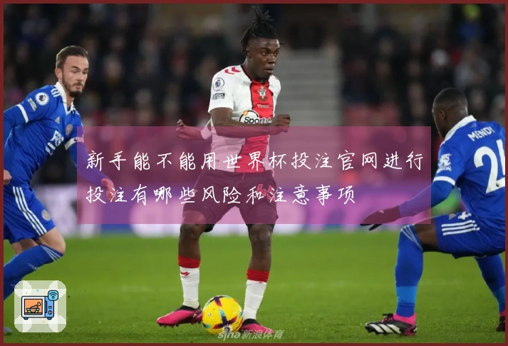 新手能不能用世界杯投注官网进行投注有哪些风险和注意事项