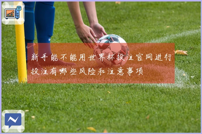 新手能不能用世界杯投注官网进行投注有哪些风险和注意事项