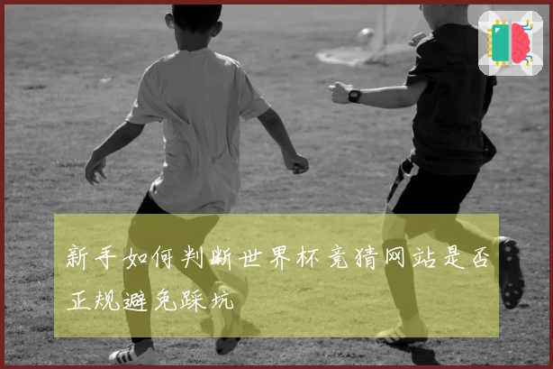 新手如何判断世界杯竞猜网站是否正规避免踩坑