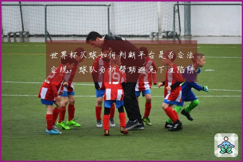 世界杯买球如何判断平台是否合法合规，球队分析帮助避免下注陷阱