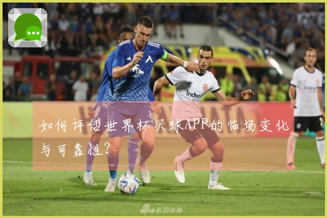 如何评估世界杯买球APP的临场变化与可靠性？